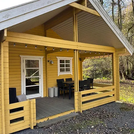 Cozy And Modern In The Woods *