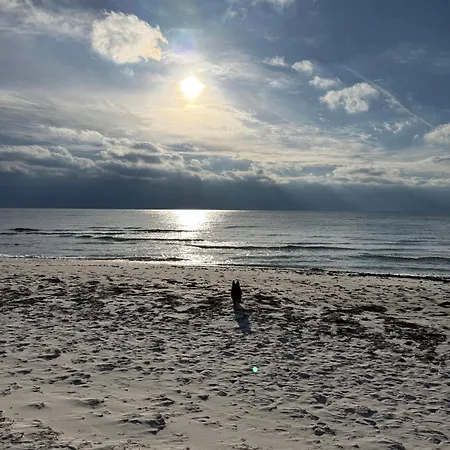 Modernt Och Mysigt Sommarhus I Skogen Semesterbostad *