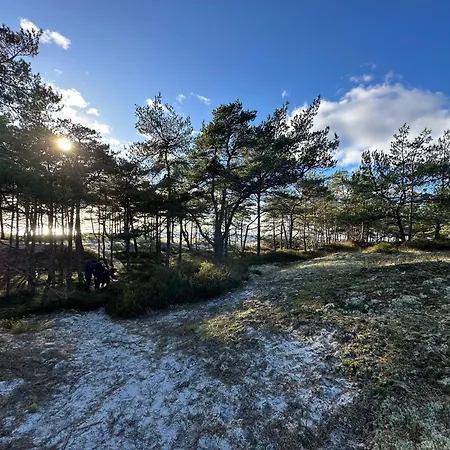 Dom wakacyjny Cozy And Modern In The Woods Nexø