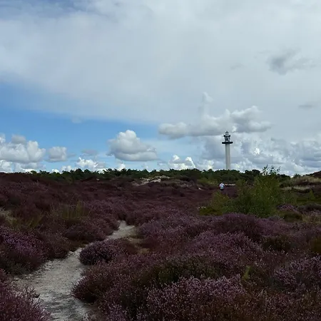 Modernt Och Mysigt Sommarhus I Skogen *