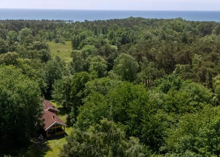 Cozy And Modern In The Woods Σπίτι διακοπών Neksø