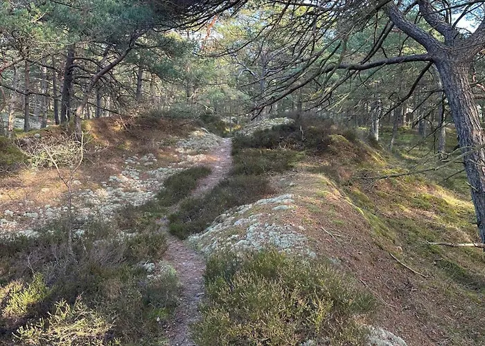 Cozy And Modern In The Woods Σπίτι διακοπών Neksø