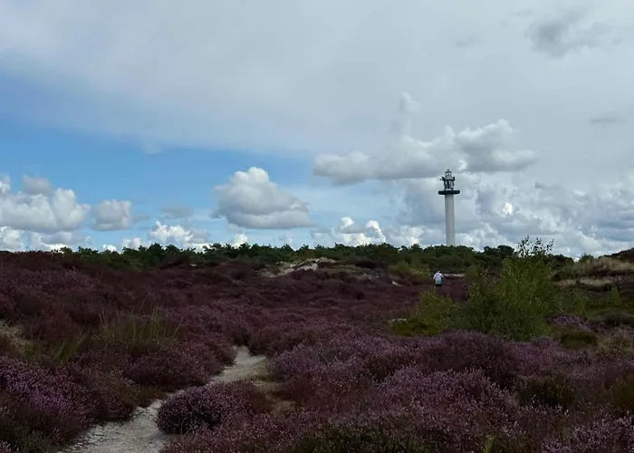Σπίτι διακοπών Cozy And Modern In The Woods