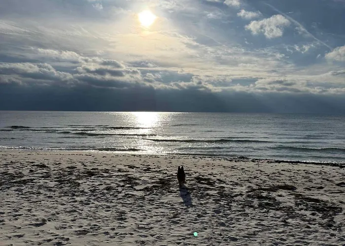 Cozy And Modern In The Woods *