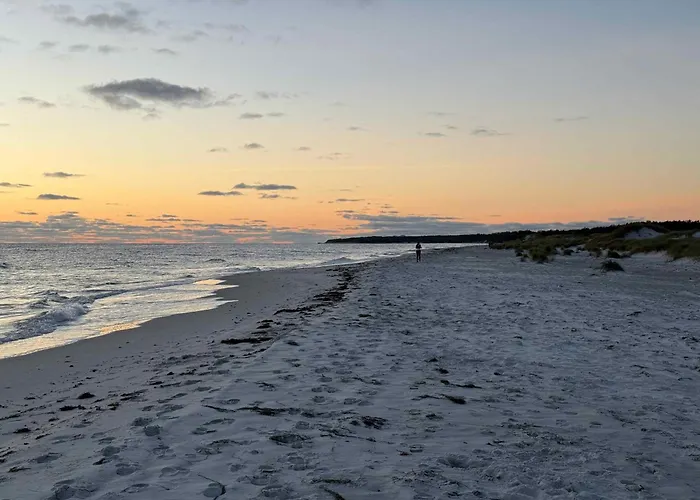 Cozy And Modern In The Woods *